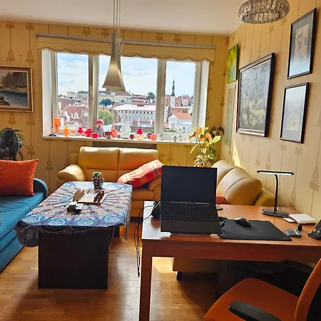 Comfort Of With Charming View