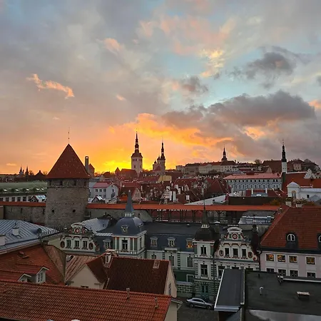 Comfort Of With Charming View *