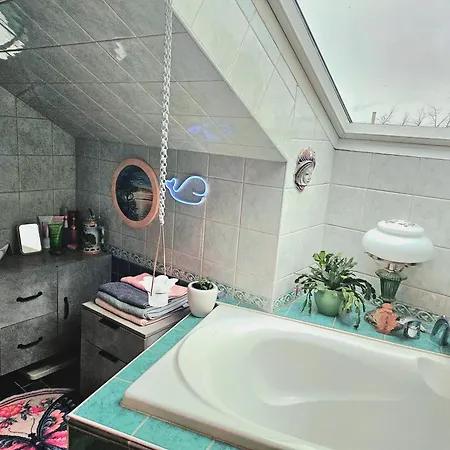 Comfort Of With Charming View